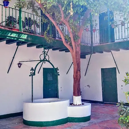La Puerta De Setas De