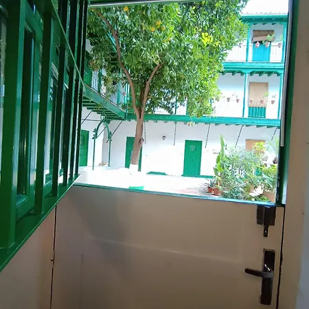 La Puerta De Setas De Apartment